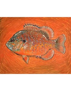 DeYoung Canvas Prints 20x16 in Pumpkin Seed Orange
